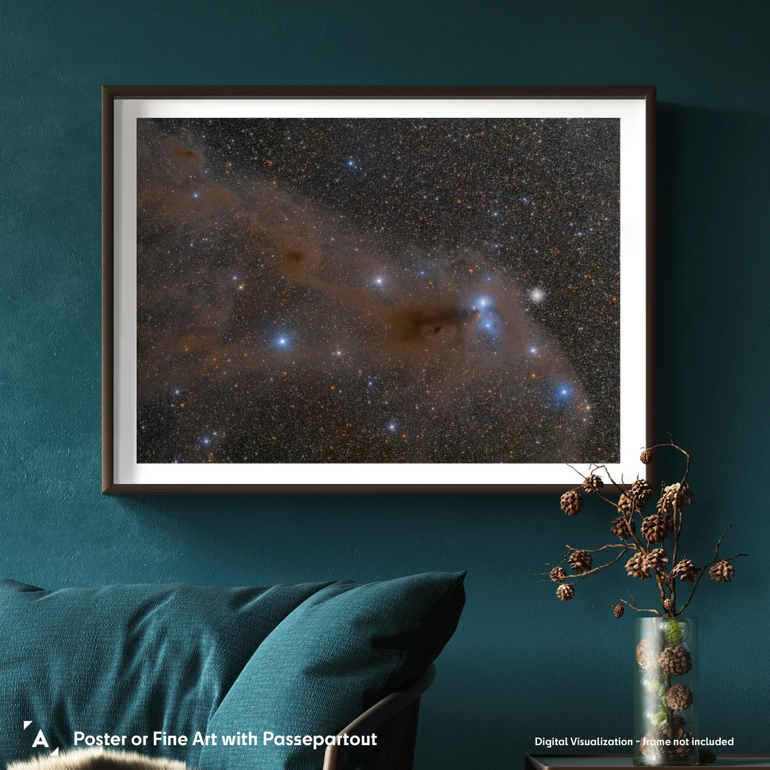 Bartosz Wojczynski: Anteater Nebula Poster