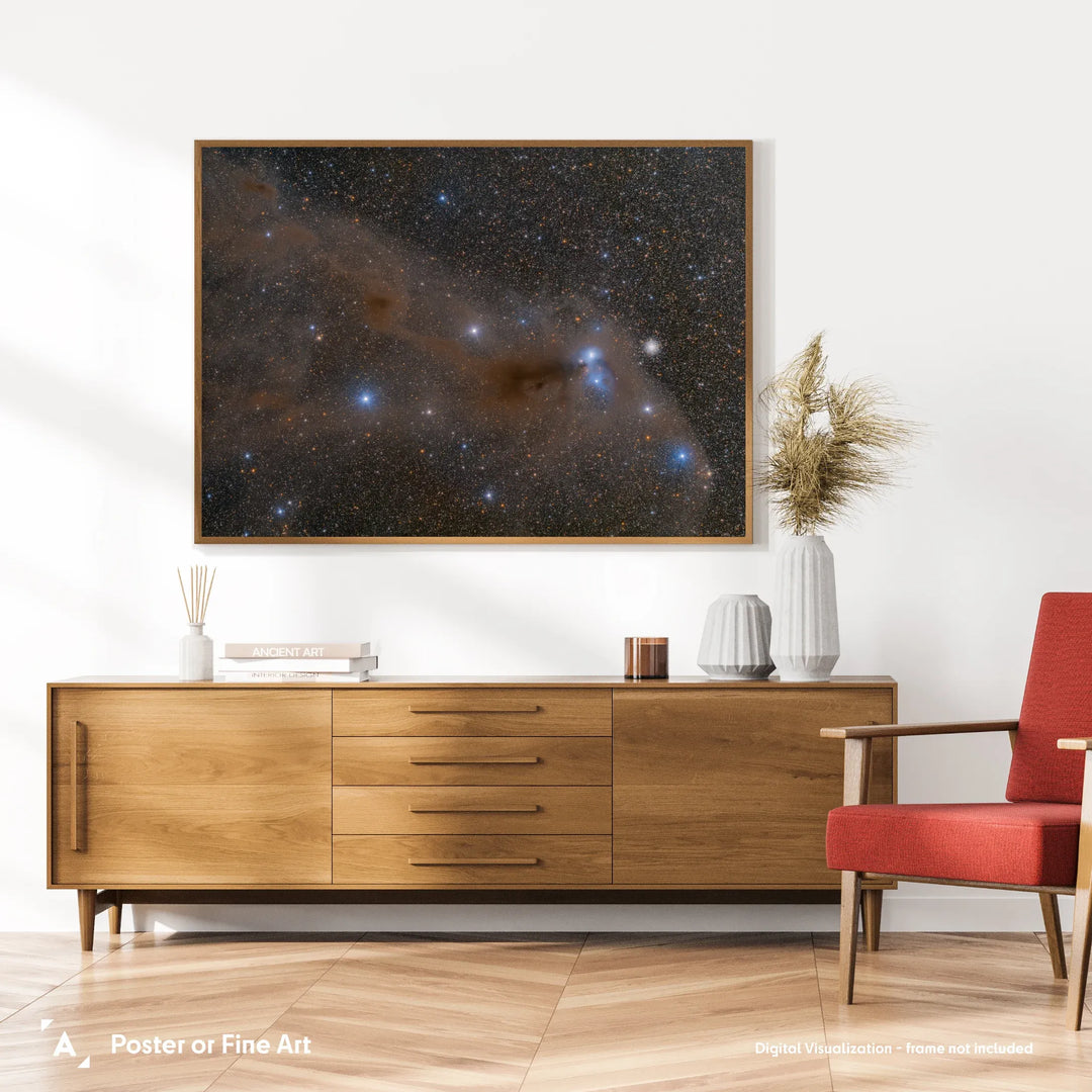 Bartosz Wojczynski: Anteater Nebula Poster