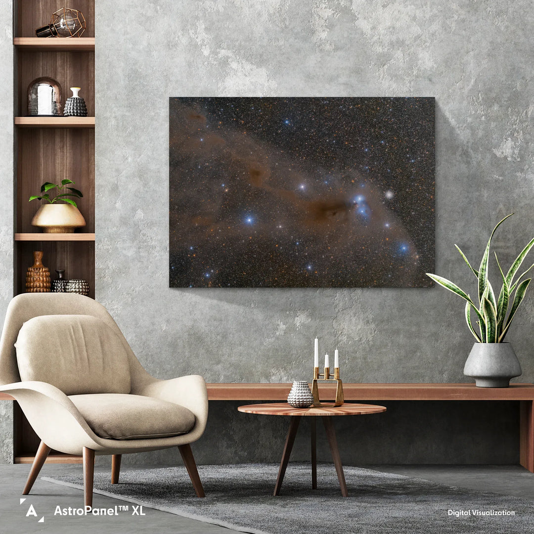 Bartosz Wojczynski: Anteater Nebula Poster