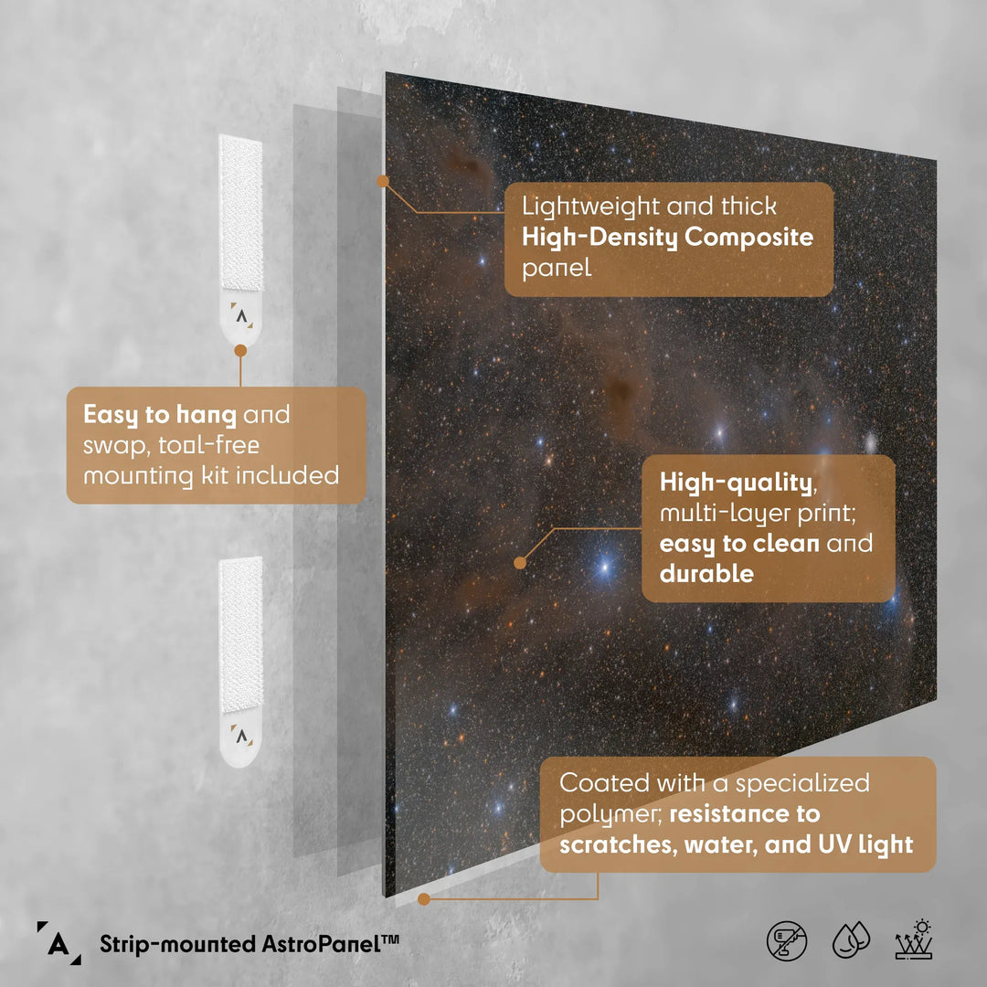Bartosz Wojczynski: Anteater Nebula Poster