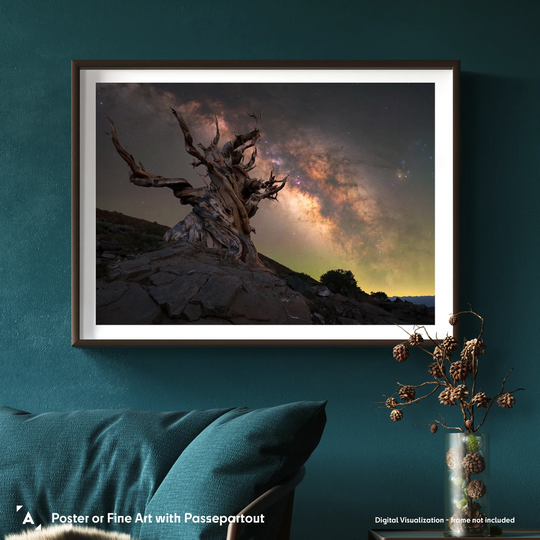 Marcin Zajac: Antifragile from the White Mountains Poster