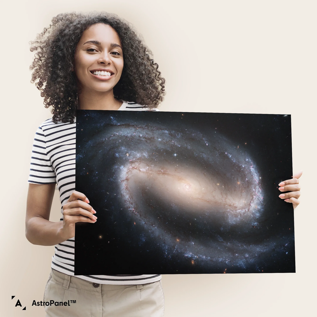 Barred Spiral Galaxy (NGC1300) Poster