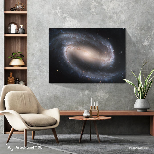 Barred Spiral Galaxy (NGC1300) Poster