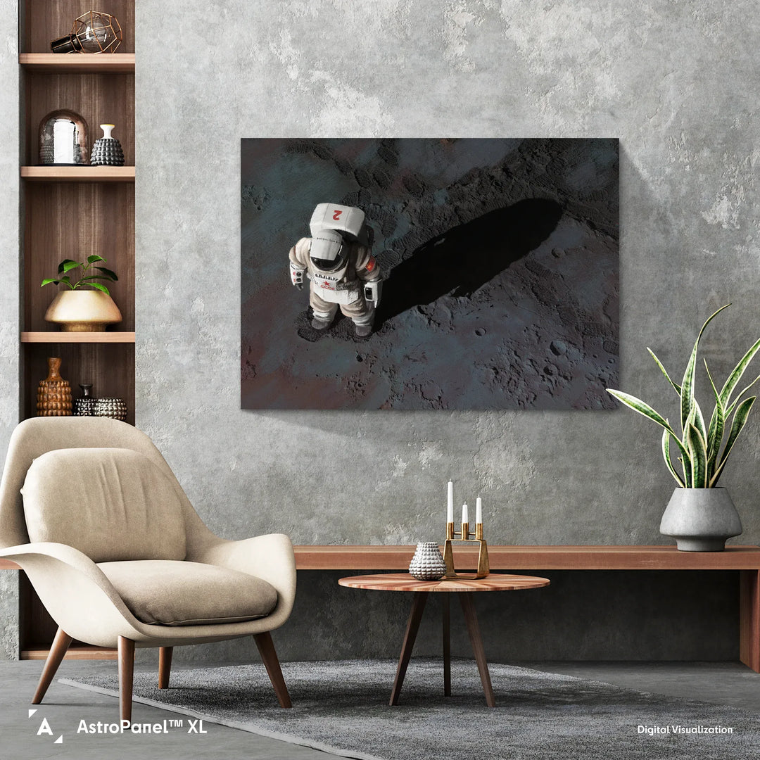 Maciej Rebisz: Cosmonaut Poster