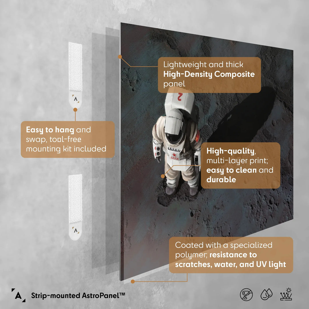 Maciej Rebisz: Cosmonaut Poster