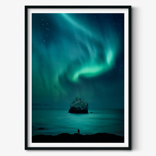 Dariusz Orlicz: Dolphin Aurora Poster