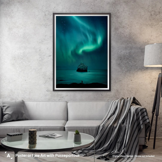 Dariusz Orlicz: Dolphin Aurora Poster