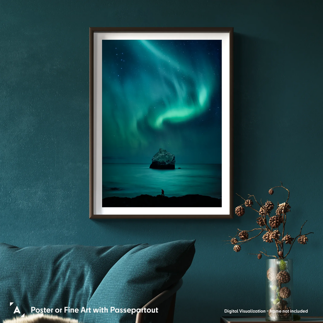 Dariusz Orlicz: Dolphin Aurora Poster