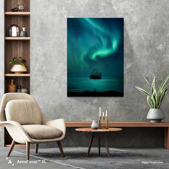 Dariusz Orlicz: Dolphin Aurora Poster