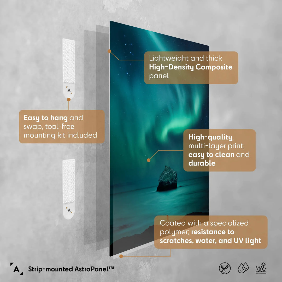 Dariusz Orlicz: Dolphin Aurora Poster