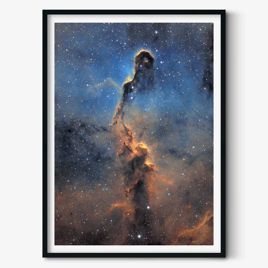 Bogdan Jarzyna: Elephant's Trunk Nebula (IC 1396) Poster
