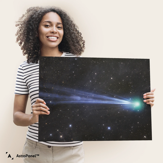 Gerald Rhemann: Comet in the Dust Poster