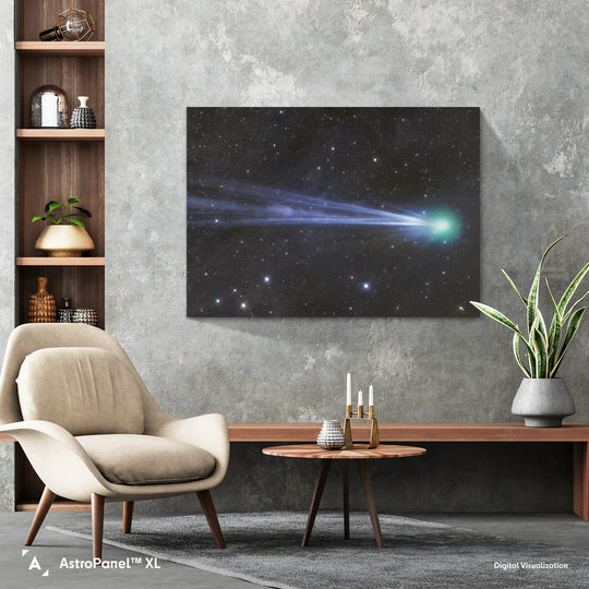Gerald Rhemann: Comet in the Dust Poster