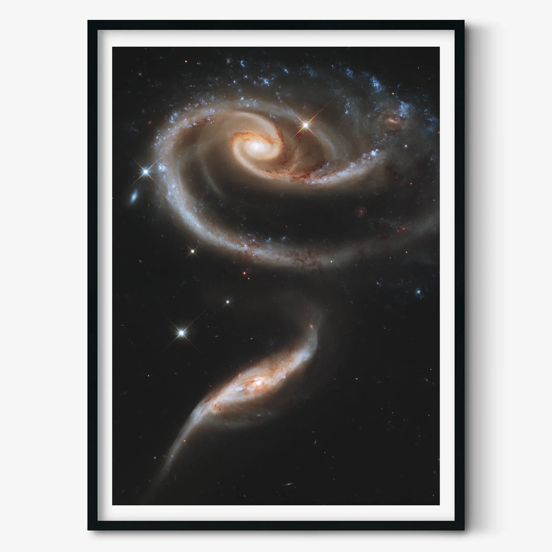 A Rose made of Galaxies (Arp 273) Poster