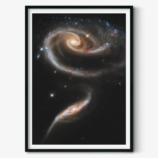 A Rose made of Galaxies (Arp 273) Poster