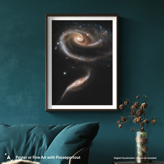 A Rose made of Galaxies (Arp 273) Poster