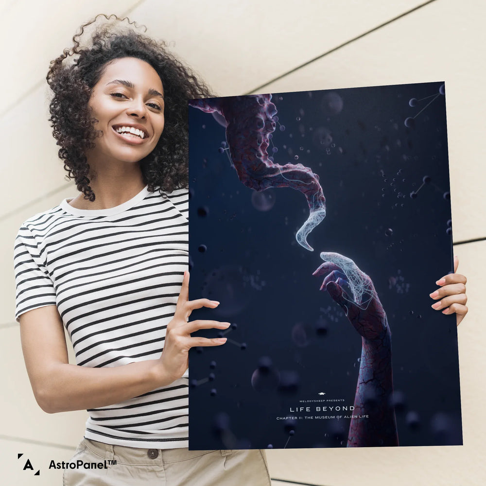 Melodysheep: Life Beyond II: Cosmic Brethren Poster