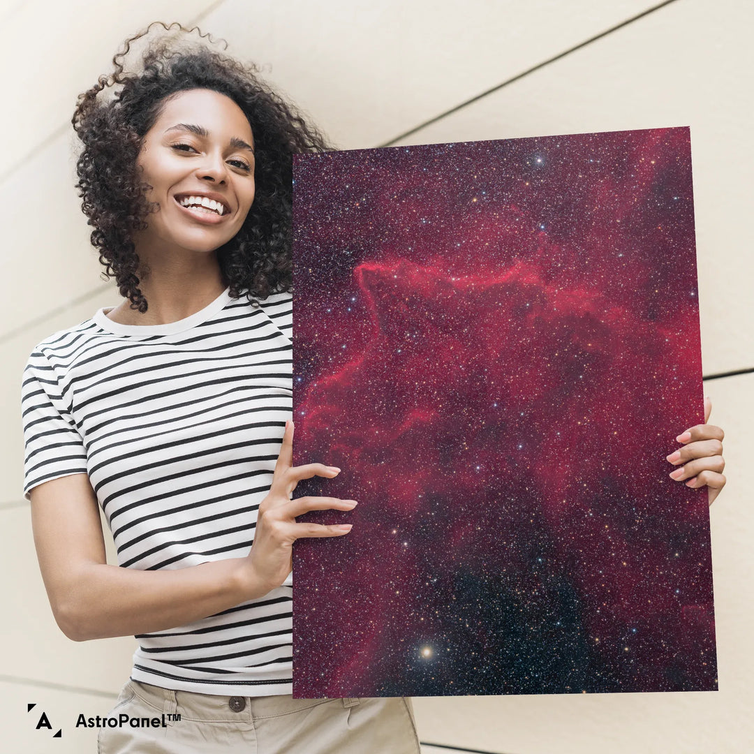 Michael Sidonio:  Gas and Dust in Puppis (BBW 56) Poster