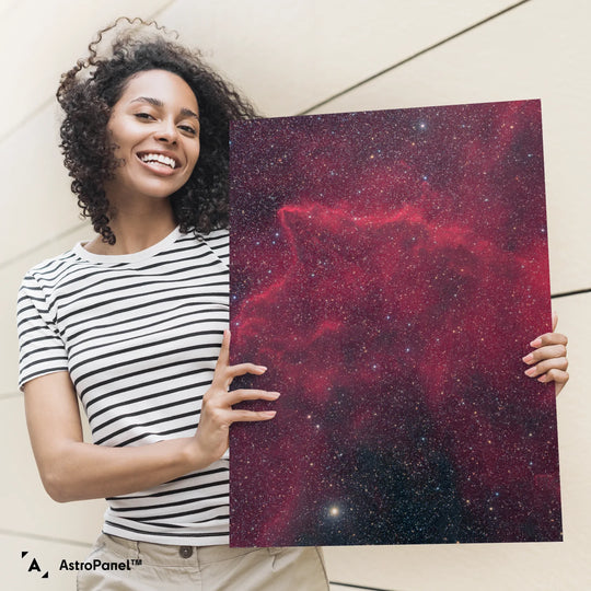 Michael Sidonio:  Gas and Dust in Puppis (BBW 56) Poster