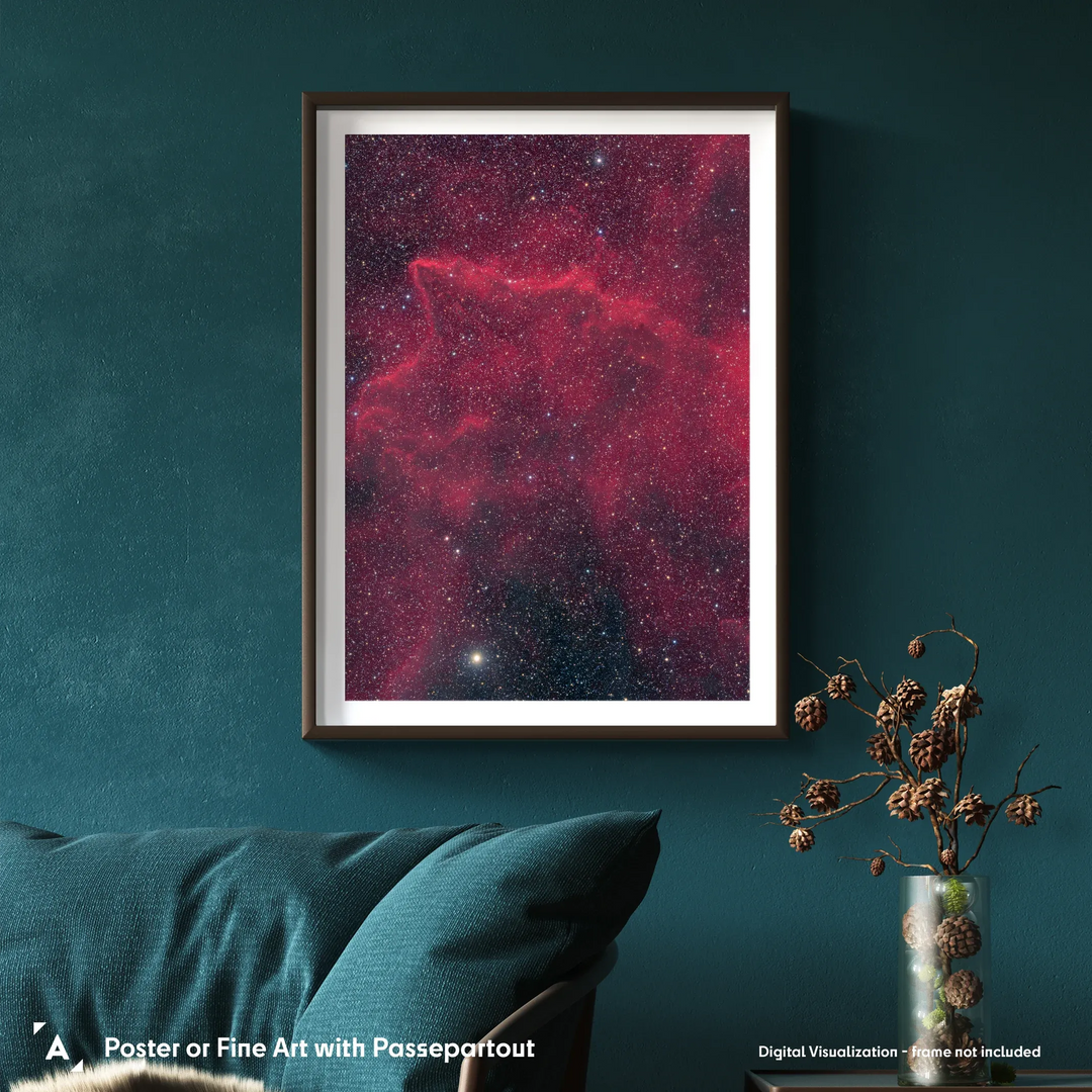 Michael Sidonio:  Gas and Dust in Puppis (BBW 56) Poster