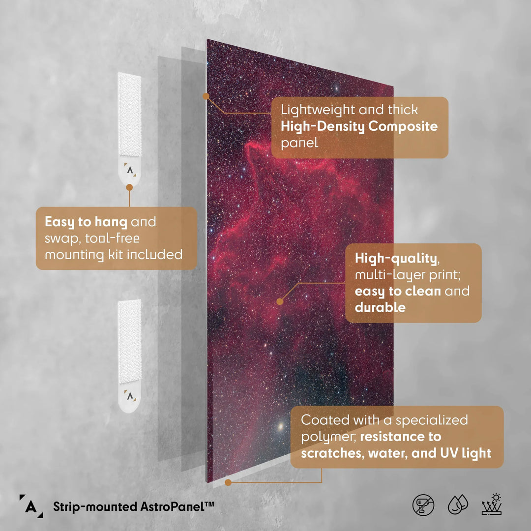 Michael Sidonio:  Gas and Dust in Puppis (BBW 56) Poster