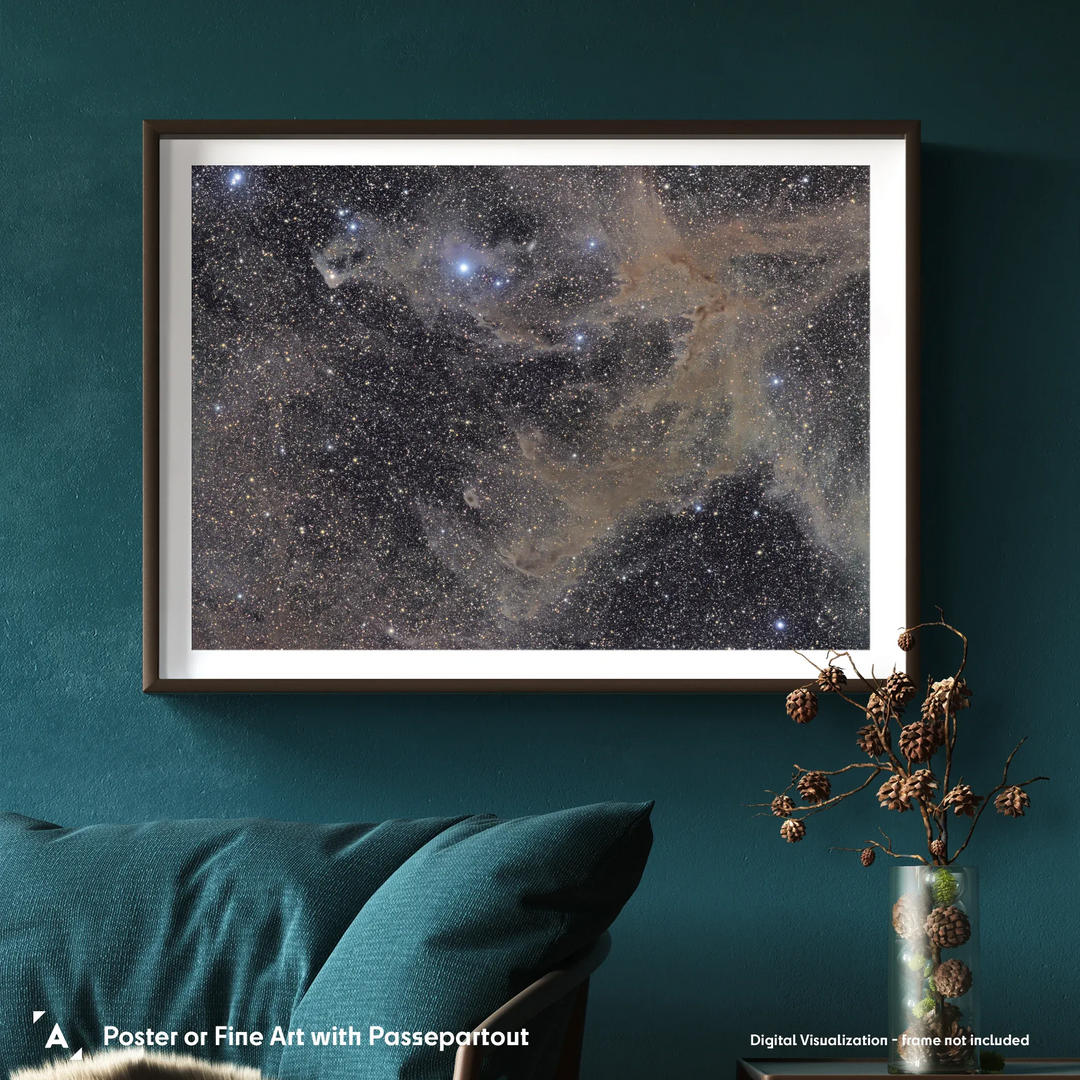 Michael Sidonio: Camaeleon Dust Cloud Poster