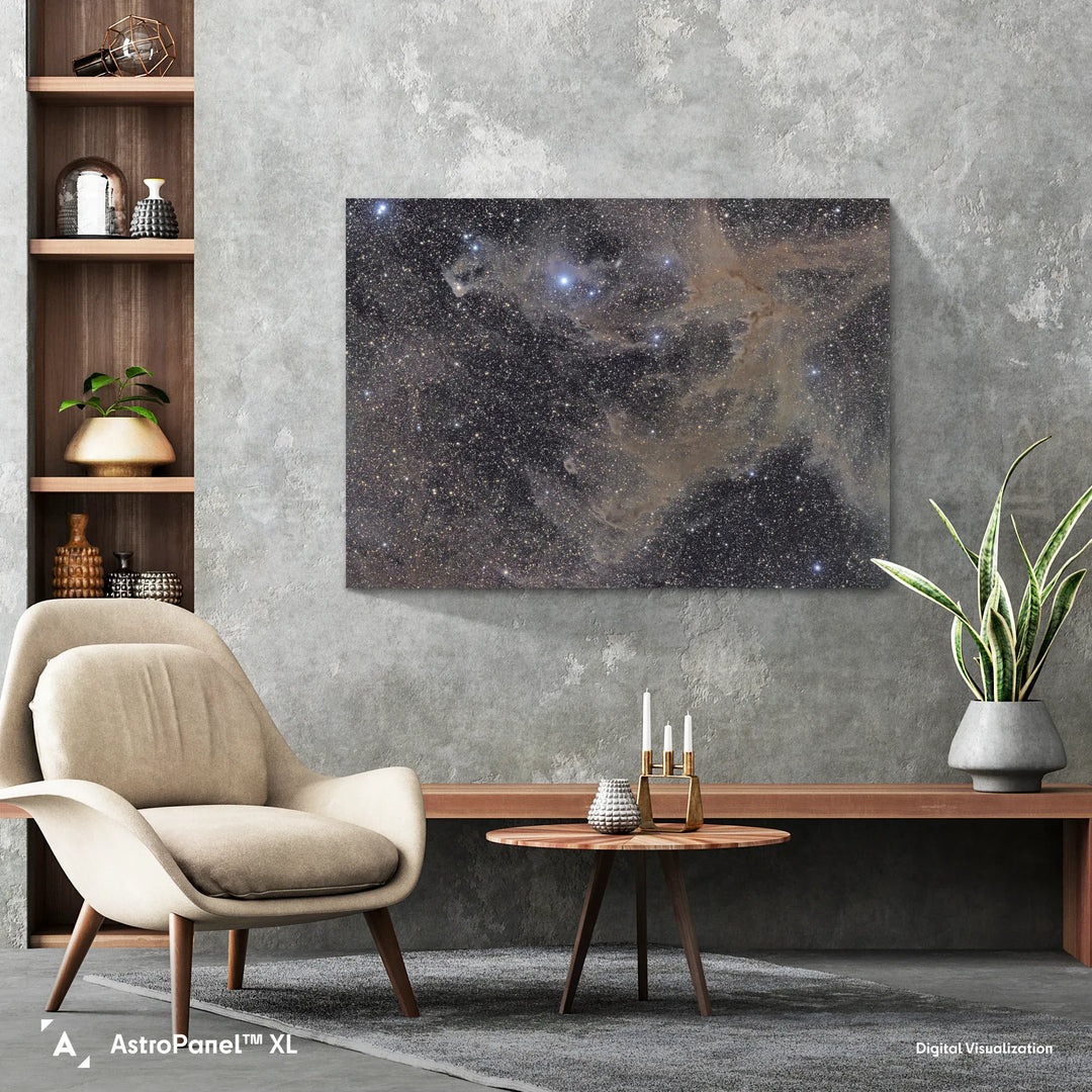 Michael Sidonio: Camaeleon Dust Cloud Poster