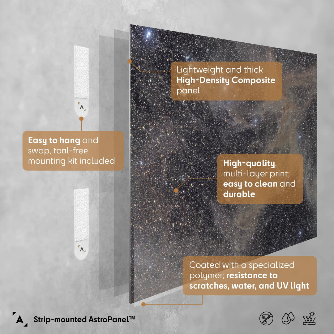 Michael Sidonio: Camaeleon Dust Cloud Poster