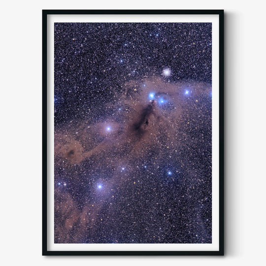 Michael Sidonio: Corona Australis Dust Cloud Poster