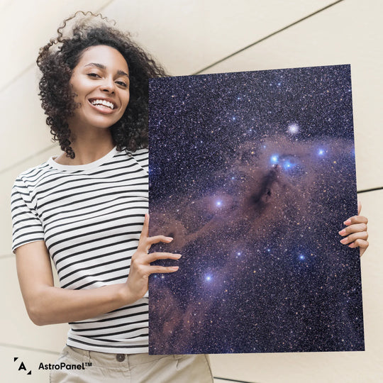 Michael Sidonio: Corona Australis Dust Cloud Poster