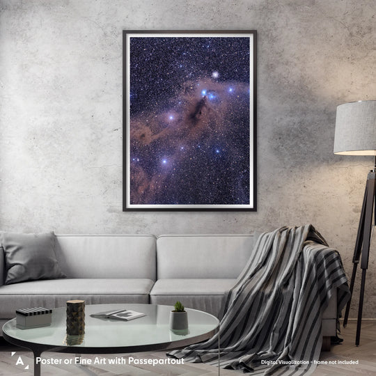 Michael Sidonio: Corona Australis Dust Cloud Poster