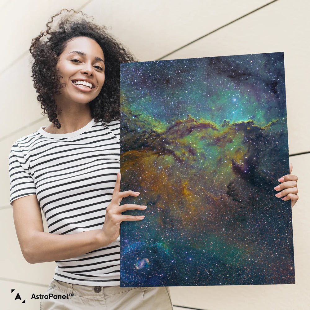 Michael Sidonio: Fighting Dragons of Ara Poster