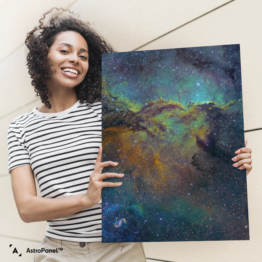 Michael Sidonio: Fighting Dragons of Ara Poster