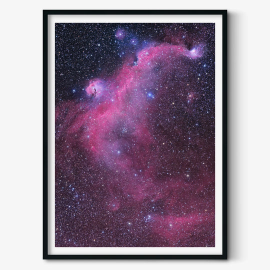 Michael Sidonio: The Seagull Nebula (IC2177) Poster