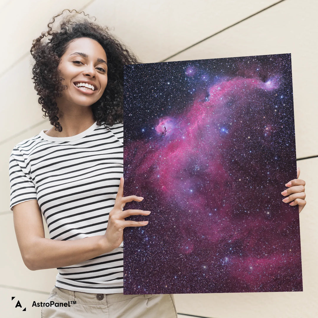 Michael Sidonio: The Seagull Nebula (IC2177) Poster