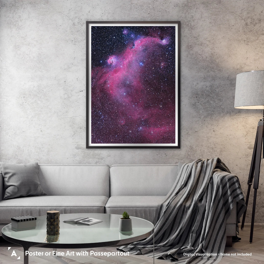 Michael Sidonio: The Seagull Nebula (IC2177) Poster