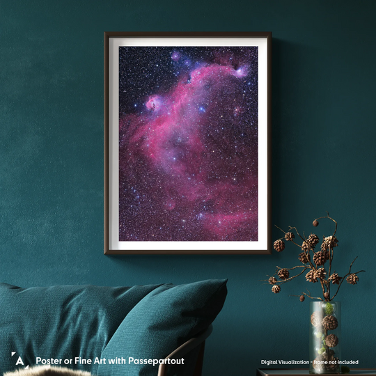 Michael Sidonio: The Seagull Nebula (IC2177) Poster