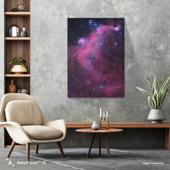 Michael Sidonio: The Seagull Nebula (IC2177) Poster