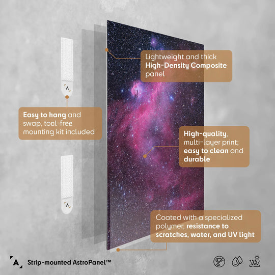 Michael Sidonio: The Seagull Nebula (IC2177) Poster