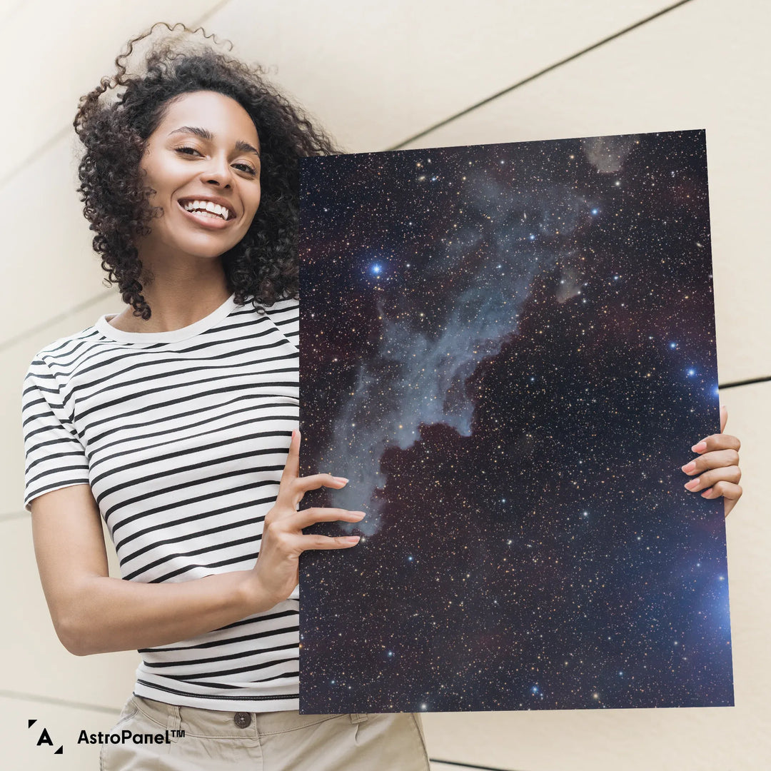 Michael Sidonio: The Witch Head Nebula (IC2188) Poster