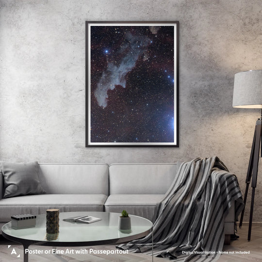 Michael Sidonio: The Witch Head Nebula (IC2188) Poster