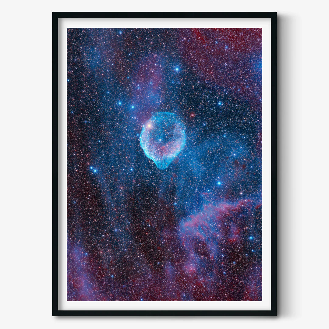 Michael Sidonio: Cosmic Dolphin (SH2-308) Poster