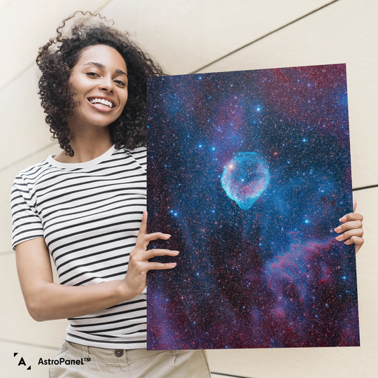Michael Sidonio: Cosmic Dolphin (SH2-308) Poster