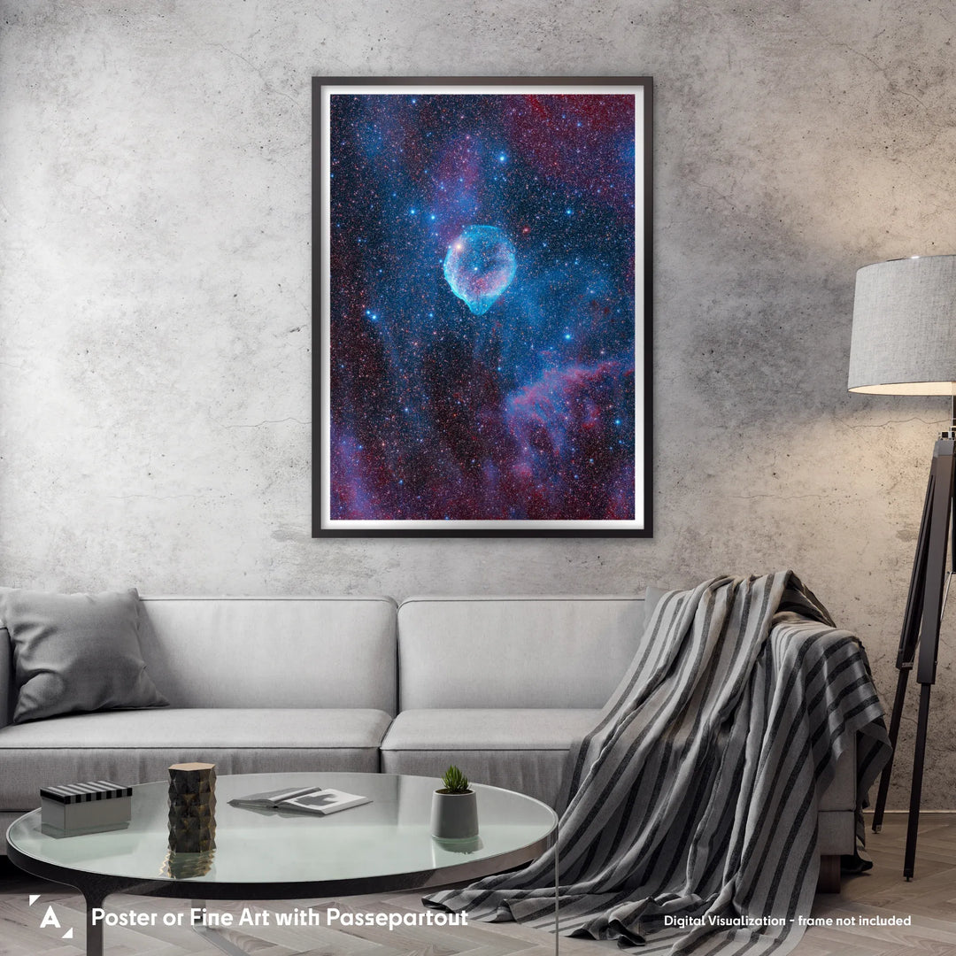 Michael Sidonio: Cosmic Dolphin (SH2-308) Poster
