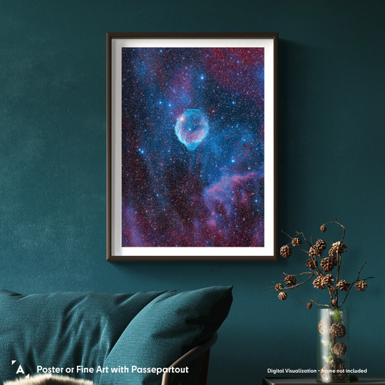 Michael Sidonio: Cosmic Dolphin (SH2-308) Poster