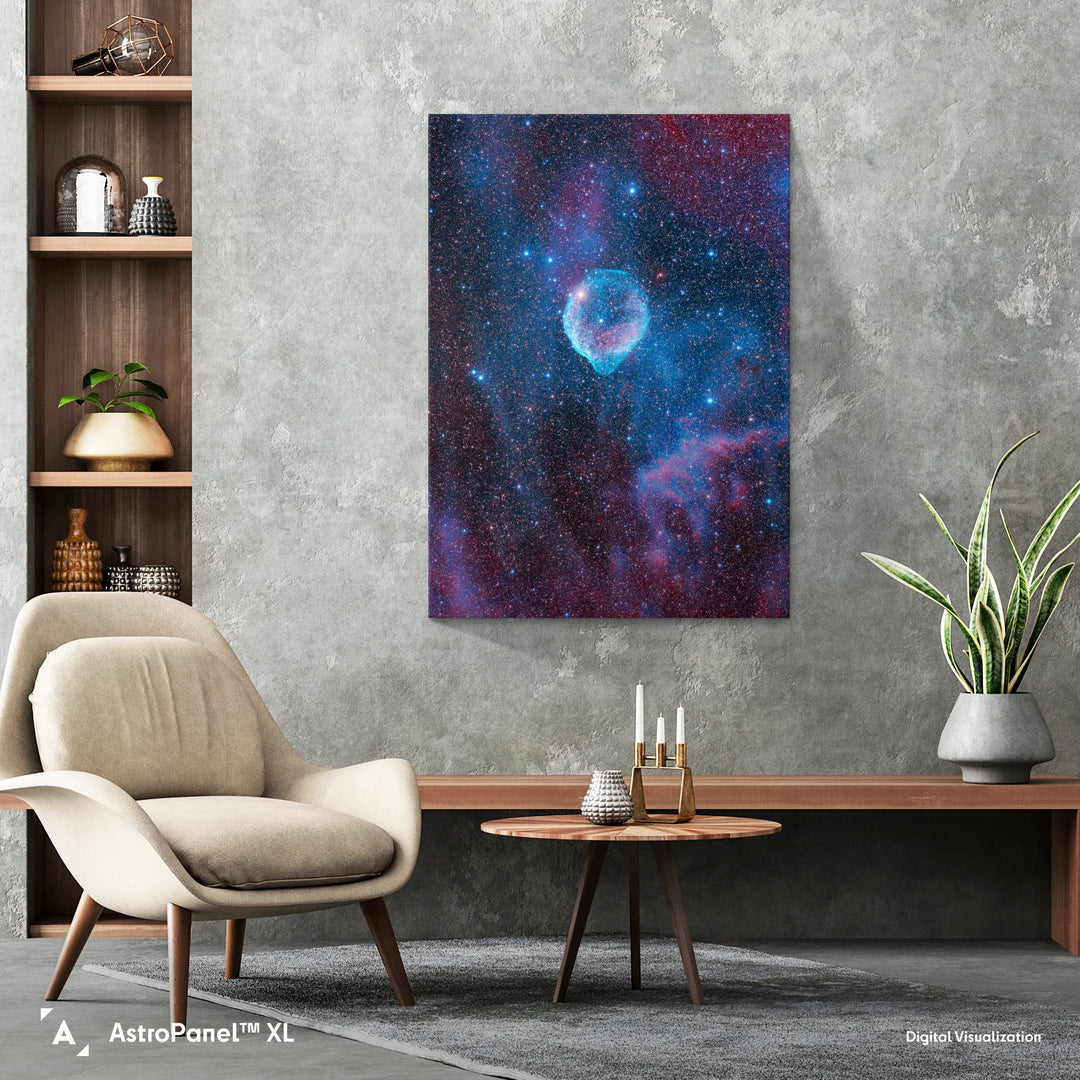 Michael Sidonio: Cosmic Dolphin (SH2-308) Poster