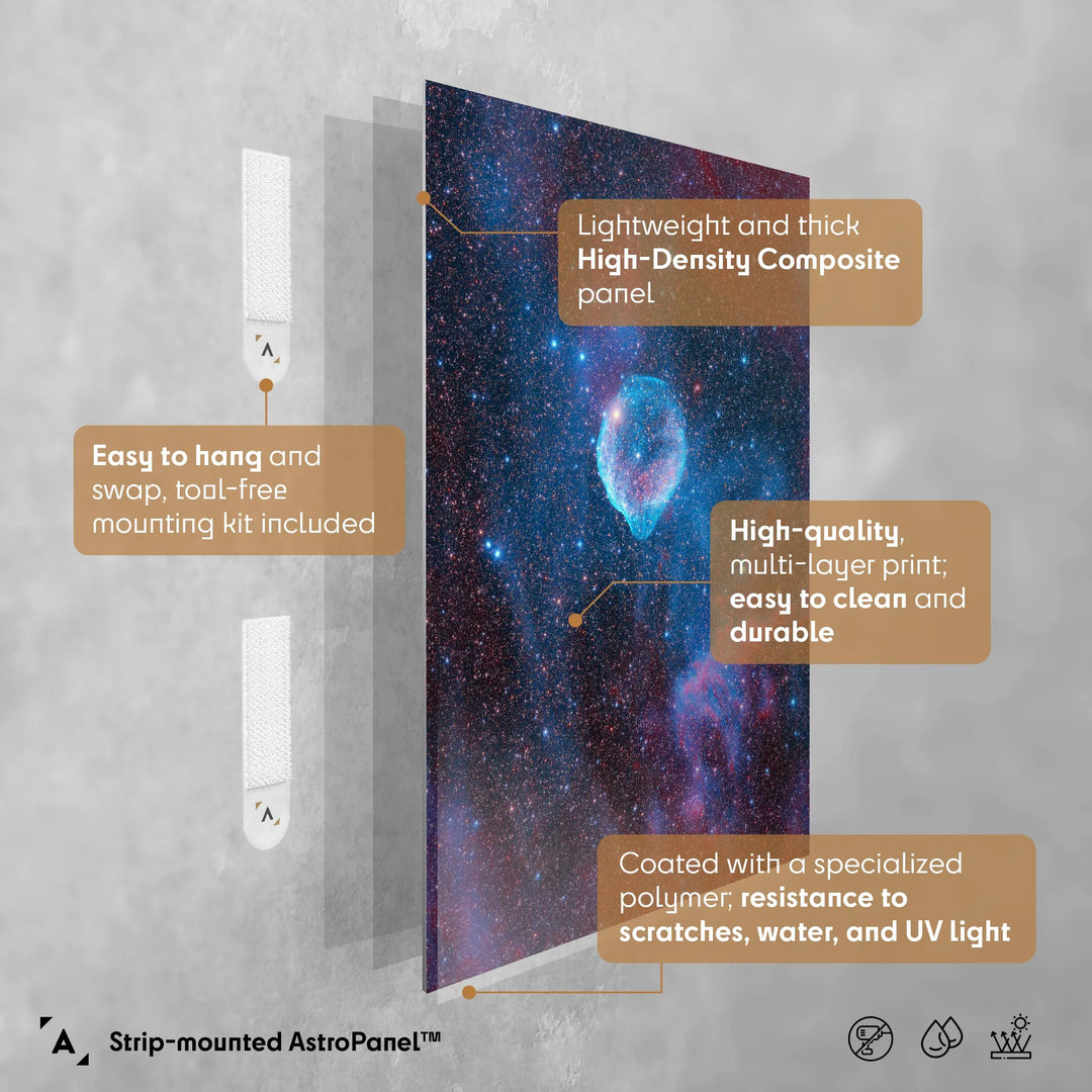 Michael Sidonio: Cosmic Dolphin (SH2-308) Poster