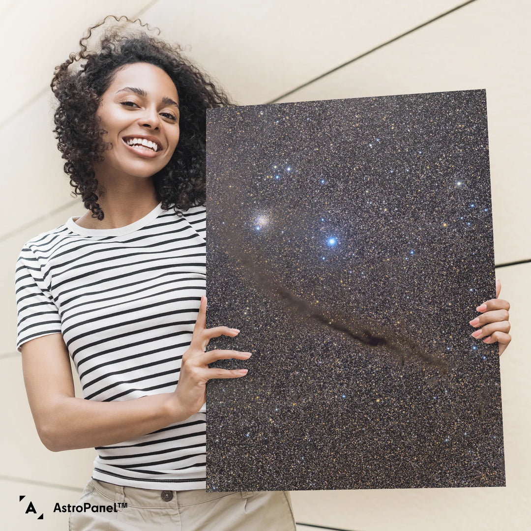 Michael Sidonio: The Dark Doodad in Musca Poster