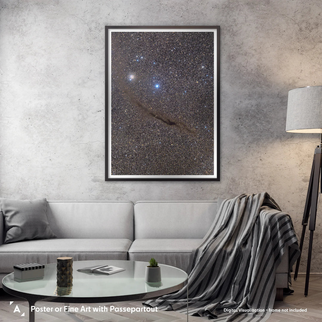 Michael Sidonio: The Dark Doodad in Musca Poster