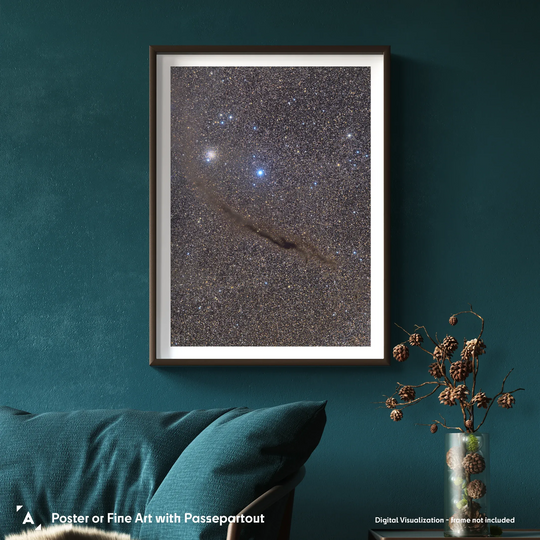 Michael Sidonio: The Dark Doodad in Musca Poster